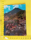 CT-06145- LAVANDERAS DE SANTIAGO ATITLA'N - GUATEMALA C.A. R. MATA - G-42-74 - América