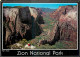 Etats Unis - Zion National Park - Zion Canyon From The Rim Trail - Etat De Utah - Utah State - CPM - Carte Neuve - Voir  - Zion