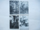 Delcampe - AGRICULTURE - ARBRES REMARQUABLES - Lot De 46 Cartes - Sammlungen & Sammellose