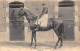 NOS JOCKEYS- RONAN - Horse Show