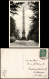 Ansichtskarte Kleve Der Kupferne Knopf 1928 - Kleve