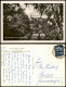 Schmannewitz-Dahlen Panorama-Ansicht Sommerfrische Schmannewitz 1955 - Dahlen