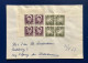 Denmark, Greenland GRØNLAND 1967,  Used Cover Of 2 Blocks - FDC