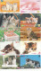 32 X Japan Thematik Cards Tickets Katzen Cat - Katzen