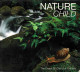 Nature Child. 2 X CD - New Age