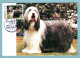 Carte Maximum Monaco 1990 - Exposition Canine Internationale Spéciale Bearded Collie - YT 1715 - Cartas Máxima