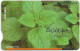 Cyprus - Cyta (Chip) - Herbs - Rosemary, 06.2008, 10€, 50.000ex, Used - Chipre