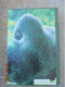 Gorillas In The Mist - Dian Fossey - Houghton Mifflin Company 1983 - Autres & Non Classés