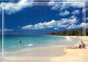 Antilles - West Indies - Plages - CPM - Voir Scans Recto-Verso - Sonstige & Ohne Zuordnung