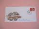 Kosovo FDC 2005, 50% Off Price, Michel 2011 - Kosovo