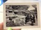 PHOTO SNAPSHOT 1960 SAN FRANCISCO Homme Femme Au Zoo De San Francisco, Enfants, Femme Qui Marche - San Francisco