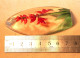 Delcampe - Sculpture Florale Cristal Mats Jonasson Suéde Maleras Suède Sculpture Orchidée Rouge Signée BX24JON001 - Verre & Cristal