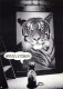 TIGRE Animale Vintage Cartolina CPSM #PBS036.IT - Tiger