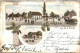 Gruss Aus Crina Krina - Litho - Muldestausee - Bitterfeld