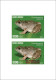 GUINEA BISSAU 2024 SET OF 6 DELUXE PROOF - REG & OVERPRINT - MUSHROOMS OWLS FROG FROGS TURTLE TURTLES HIPPOPOTAMUS - Kikkers