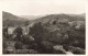 FRANCE - Environs De Brioude - Le Pont De Vieille Brioude - Carte Postale Ancienne - Brioude