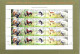 POLAND 2006 RARE POLISH POST OFFICE LIMITED EDITION FOLDER: SHEET OF 20 STAMPS OF WORLD EXHIBITION SHOW PEDIGREE DOGS - Lettres & Documents