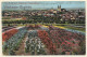 Quedlinburg / Sachsen-Anhalt: Total View - Blumenstadt (Vintage Postcard ~1920s) - Quedlinburg