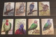 BIRDS ROMANIA BIRDS  5 SETS CTO-USED - Used Stamps