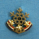 1 BROCHE /  ** BROCHE E.S.F. / ÉCOLE DU SKI FRANÇAIS FLOCON 3 ÉTOILES ** . (DECAT PARIS) - Winter Sports