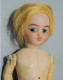 Delcampe - -POUPEE MIGNONETTE TETE BISCUIT/PORCELAINE YEUX VERRE Fixes Jus De Grenier    E - Dolls