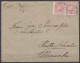 Brésil - Env. Affr. 2x 100R Càd CAMPINHO /21 NOV 1894 Pour HALLE Saale Allemagne (au Dos: Càd VICTORIA-ESP.SANTO & Arriv - Storia Postale