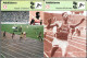 GF1011 - FICHES RENCONTRE - ATHLETISME - DON QUARRIE - HASELY CRAWFORD - HERBERT MCKENLEY - Leichtathletik