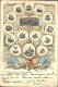 41327086 Newark_New_Jersey Seals Of The Thirteen States Which Declared The Indep - Andere & Zonder Classificatie