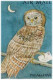 Philatelic Fantasies, OWL, Dove, Kingfisher, Bird,  Animal, Birds With Mail Letter & Parcel Flight, Full Sheet FDC Palau - Vleermuizen