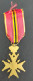 Médaille Fédération Nationale Des Combattants Belgique - Belgique