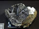 Vivianite Var. Kerchenite On Mollusk Fossil ( 6 X 4 X 3 Cm ) - Kerch - Crimea Peninsula, Crimea Oblast', Ukraine. - Mineralen
