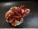 Delcampe - Vanadinite On Matrix ( 4 X 3.5 X 2 Cm ) - Bou Almaden - Morocco - Mineralen