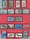 FRANCE - Collection De Timbres EUROPA Neuf** LUXE, De 1956 à 2005 Complète. Bas Prix, à Saisir. - Otros & Sin Clasificación