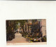 Hongkong / Postcards / Wyndham Street Flowers - Autres & Non Classés