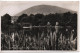 REAL PHOTOGRAPHIC POSTCARD - MOURNE PARK HOUSE AND KNOCKCHREE MOUNTAIN - KILKEEL - COUNTY DOWN WITH GOOD KILEEL POSTMARK - Down