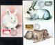 BULGARIA BULGARIE BULGARIEN 1986 HARES AND RABBITS COMPLETE SET SERIE COMPLETA MAXI MAXIMUM CARD - FDC