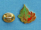 1 PIN'S /  ** INSIGNE / LÉGION ÉTRANGÈRE PARACHUTISTE / 2° R.E.P. ** . (J.Y. Ségalen Collection). - Militaria