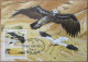 ISRAEL 2013 VULTURE GYPAETUS BARBATUS PALPHOT MAXIMUM CARD STAMP FIRST DAY OF ISSUE POSTCARD CARTE POSTALE POSTKARTE - Cartes-maximum