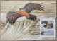 ISRAEL 2013 VULTURE GYPAETUS BARBATUS PALPHOT MAXIMUM CARD STAMP FIRST DAY OF ISSUE POSTCARD CARTE POSTALE POSTKARTE - Cartes-maximum