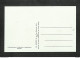 RUANDA-URUNDI - Carte MAXIMUM 1958 - Palais Du CONGO BELGE Et Du RUANDA-URUNDI - Fleurs - EUPHORBIA - Andere & Zonder Classificatie