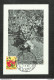 RUANDA-URUNDI - Carte MAXIMUM 1958 - Palais Du CONGO BELGE Et Du RUANDA-URUNDI - Fleurs - HIBISCUS - Otros & Sin Clasificación