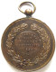 Médaille En Bronze Léopold II. Prijskamp Voor Paarden 26 Septembre 1898 Langemarck, Concours Hippique - Otros & Sin Clasificación