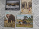 Delcampe - LOT Van 191 Postkaarten DIEREN ALGEMEEN - 100 - 499 Cartes