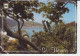 St Thomas  Regard Sur Le Mont Et Des Bateaux De Croisières  Baie Petits Voiliers  CM 2 Scans - Virgin Islands, US