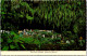 3-5-2024 (4 Z 5) USA - Island Of Kauai (Hawaii) Fern Grotto - Kauai