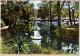 35438 / MASSY - VERRIERES Le BUISSON 91-Essonne Seine Oise Vallée De La BIEVRE Petit Pont Sur Le LAC Chateaux MIGNEAUX - Massy