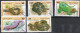 République Saharaouie  Timbres Divers - Various Stamps -Verschillende Postzegels - Sonstige - Afrika