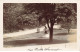 75019 PARIS AD#MK982 AUX BUTTES CHAUMONT CARTE PHOTO - Arrondissement: 19