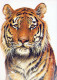 TIGRE Animales Vintage Tarjeta Postal CPSM #PBS044.ES - Tiger