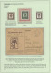 Delcampe - Wood - Specialised Award Winning Stamp Collection - Ready To Exhibit - Other & Unclassified